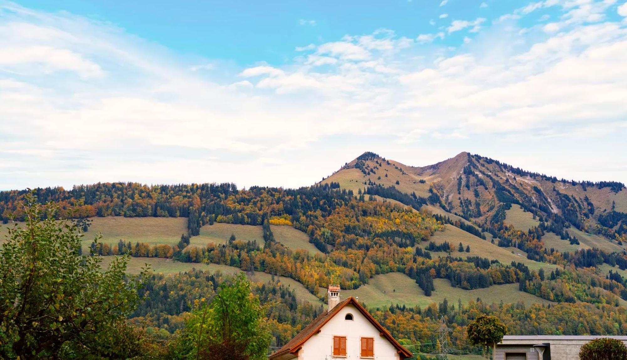 Gruyere Alpes Appartement 3 Chambres Bbq Parking Neirivue Εξωτερικό φωτογραφία